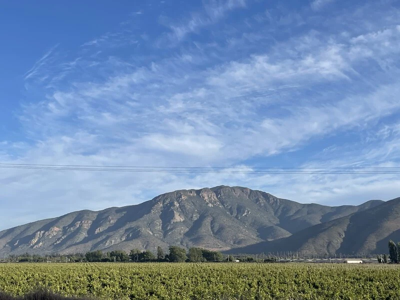 Tour Santa Rita, degustacion vino valle del maipo museo andino
